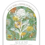 AUGUST_900x