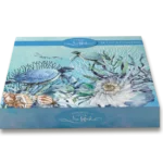 CSTR_BOX_TURTLES_900x