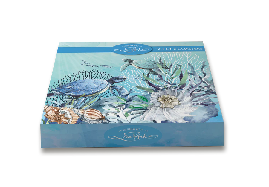 CSTR_BOX_TURTLES_900x
