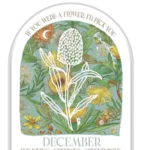 DECEMBER_900x