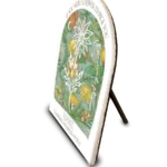 SIDEAPR_900x