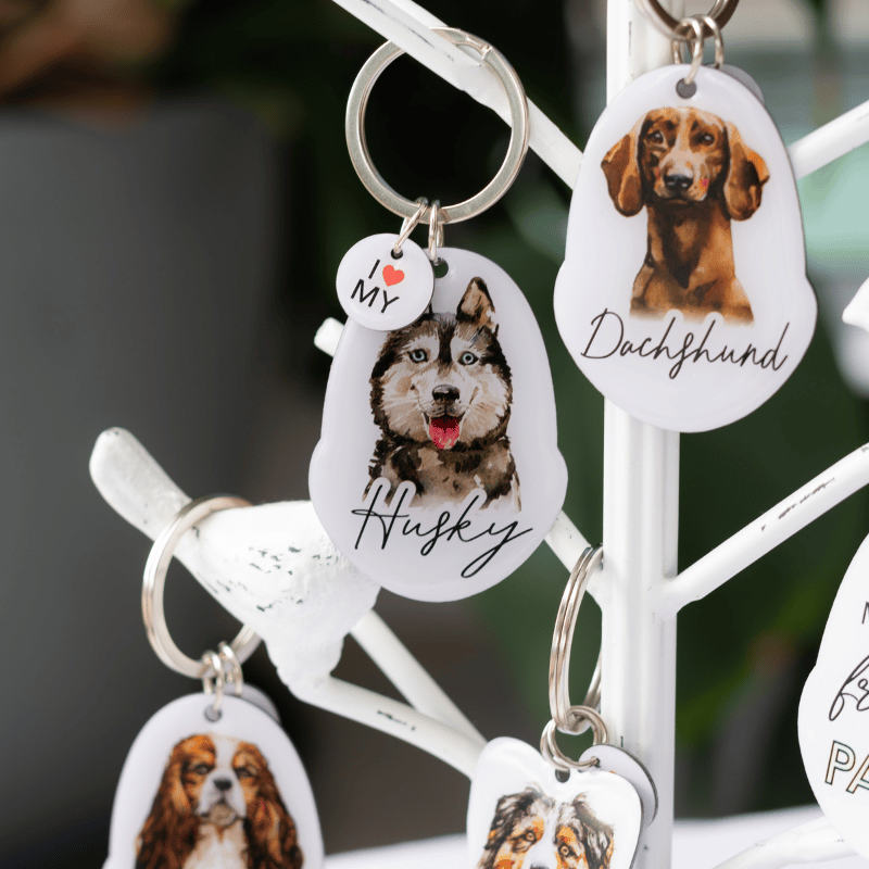 pet keyring1